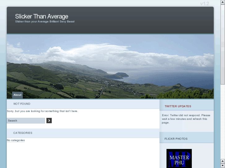 www.slickerthanaverage.com