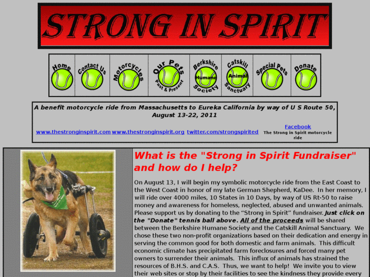 www.thestronginspirit.com