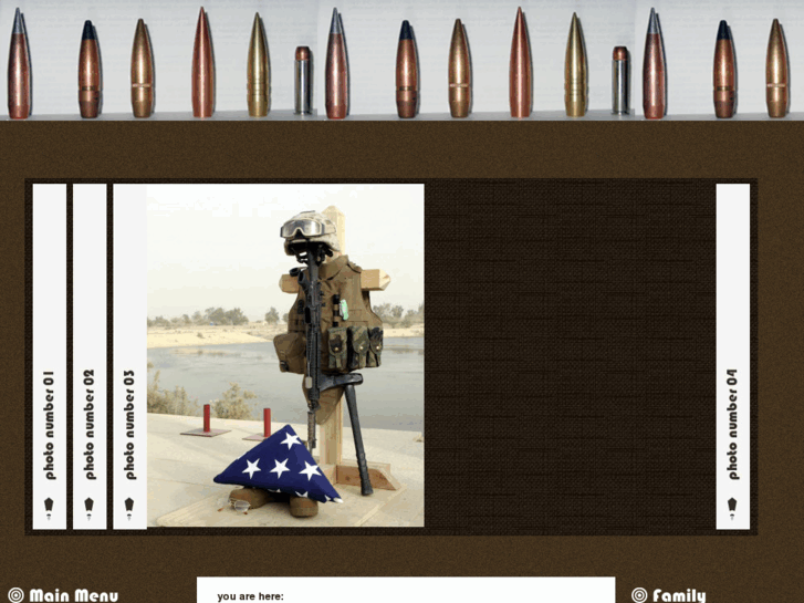 www.dodgingbullets.info