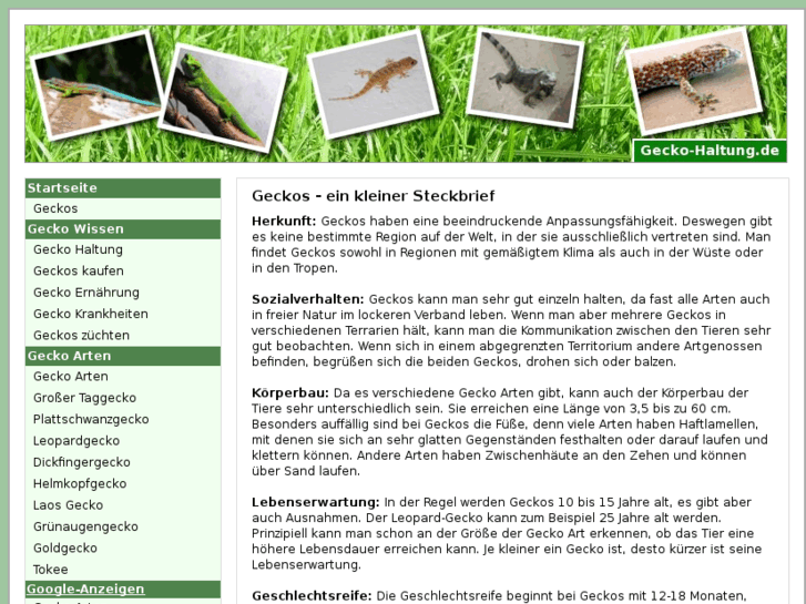www.gecko-haltung.de