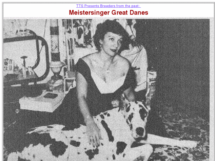 www.meistersingergreatdane.com