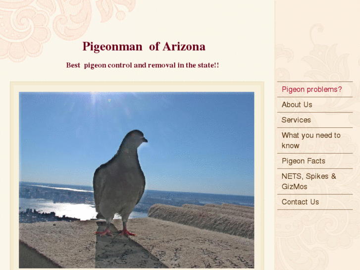 www.pigeonmanaz.com