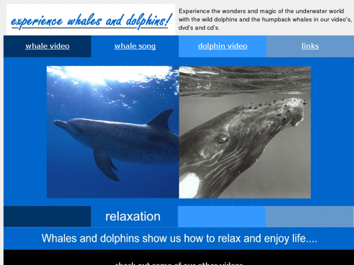 www.visualdolphin.com