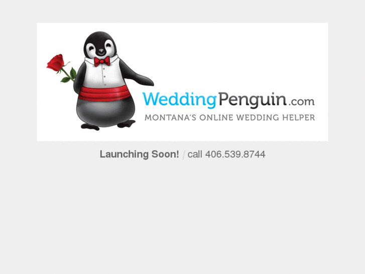 www.weddingpenguin.com