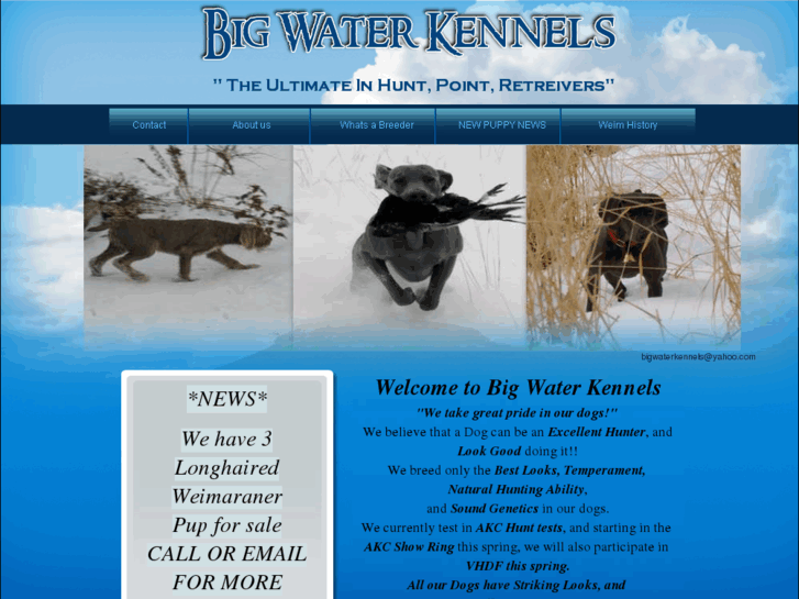 www.bigwaterkennel.com