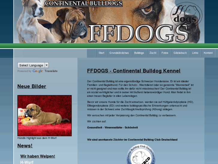 www.ffdogs.de