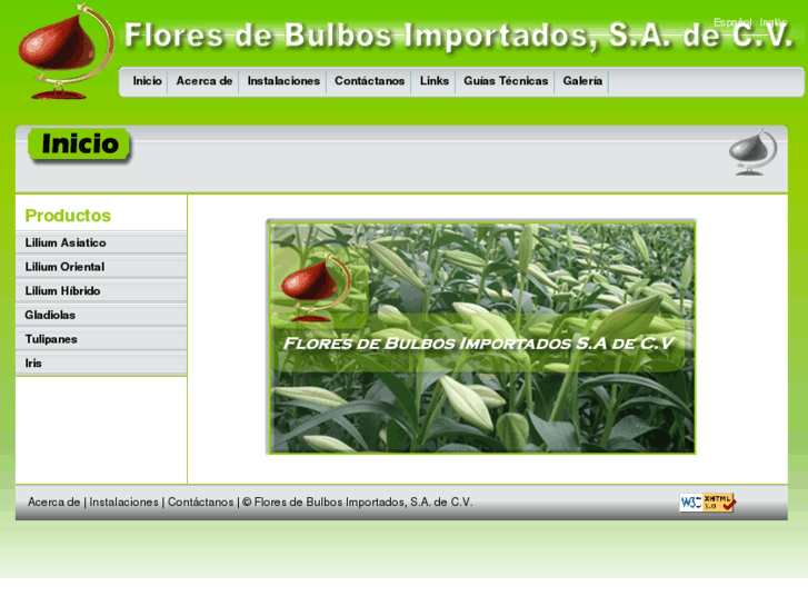 www.floresdebulbos.com.mx