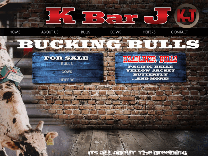 www.kbarjbuckingbulls.com