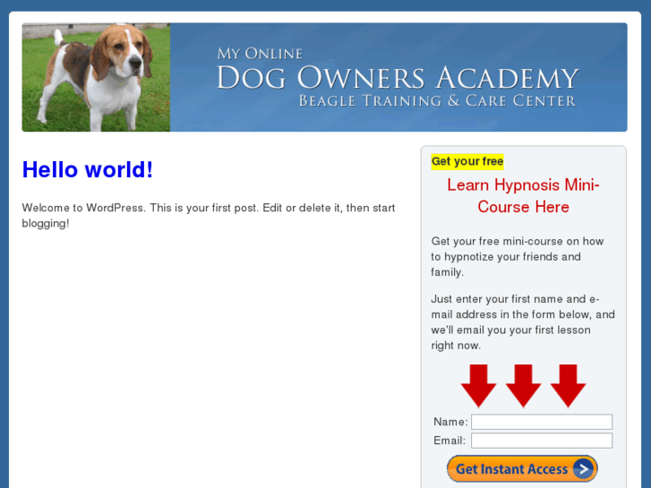 www.learnhypnosis.net