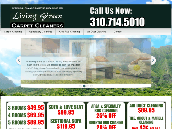 www.livinggreencarpetcleaners.com