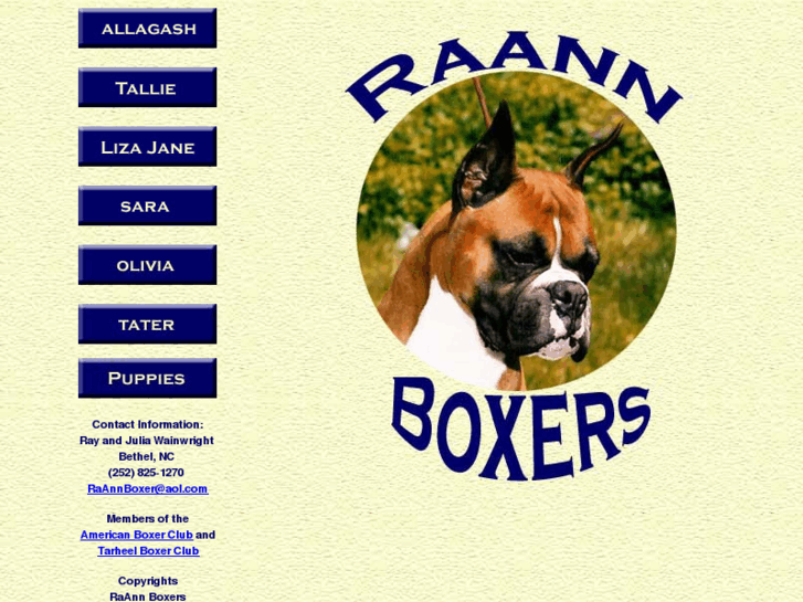 www.raannboxers.com