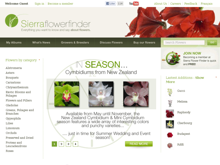 www.sierraflower.com