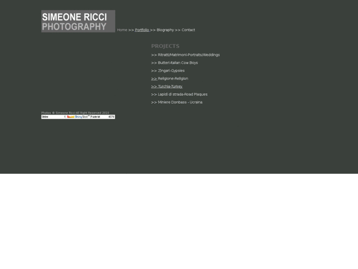 www.simeonericci.com