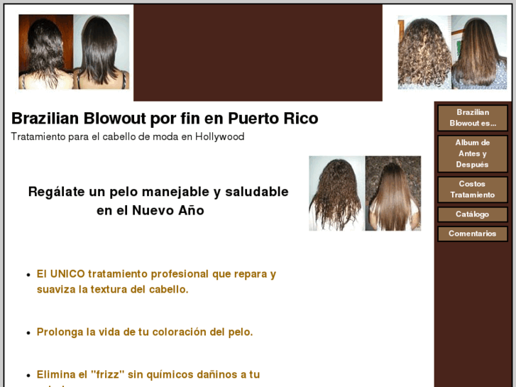 www.brazilianblowoutpr.com