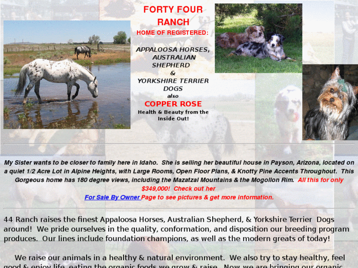 www.fortyfourranch.com