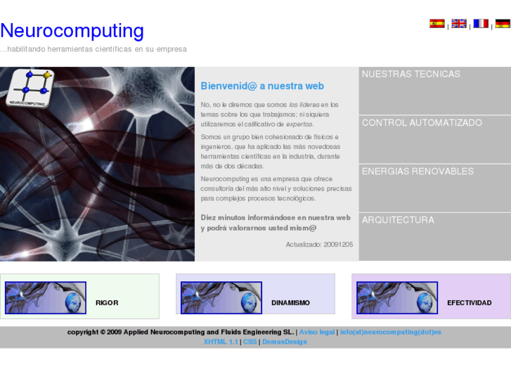 www.neurocomputing.es