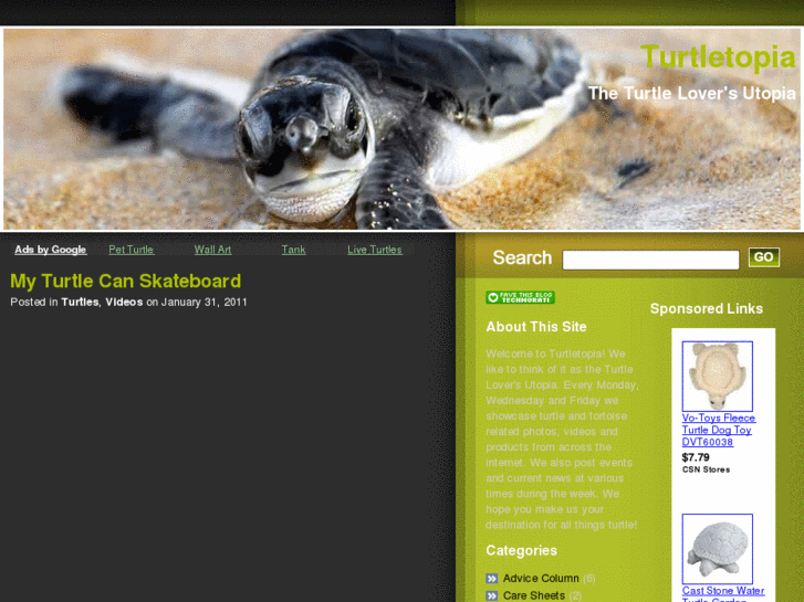 www.turtletopia.com