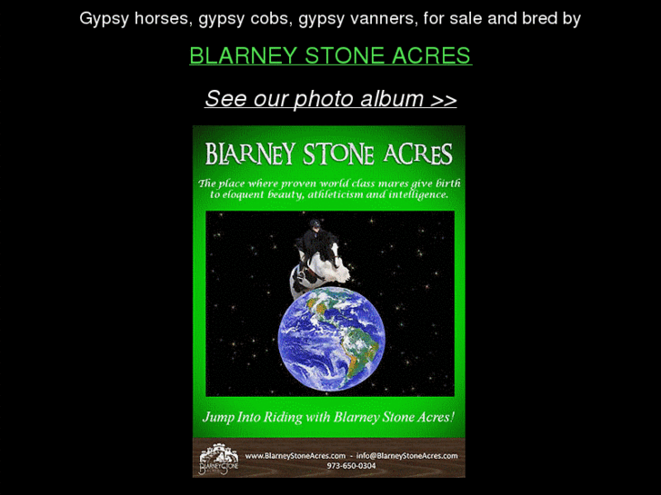 www.blarneystoneacresgypsyhorses.com