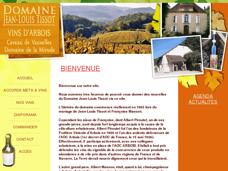 www.domaine-jeanlouis-tissot.com