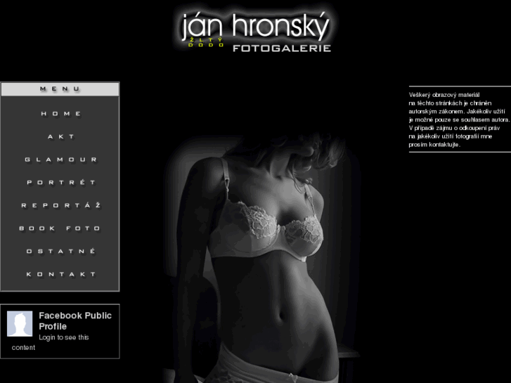 www.janhronsky.net