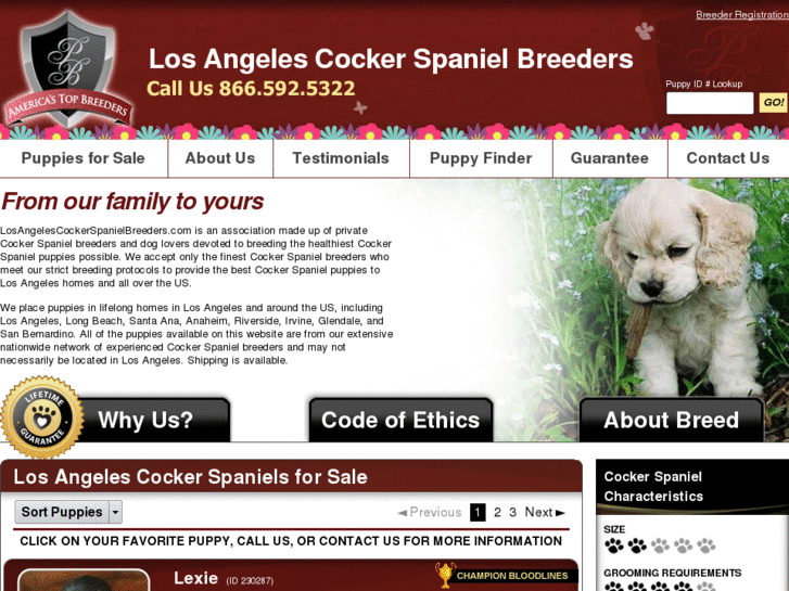 www.losangelescockerspanielbreeders.com