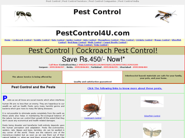 www.pestcontrol4u.com