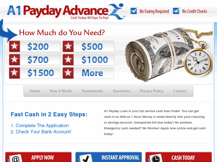 www.a1payloan.com