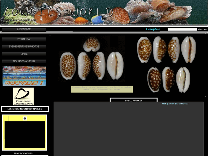 www.cowries-world.com