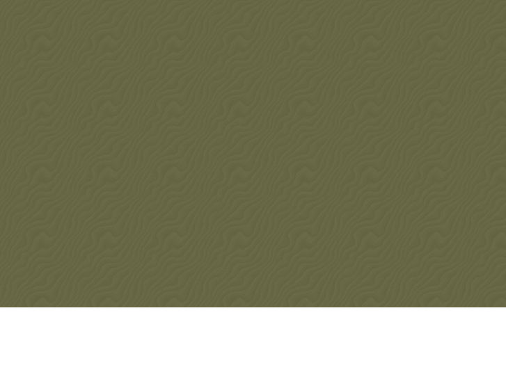 www.digitalnetworkarmy.com