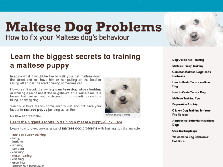 www.dogbehavioursolutions.com