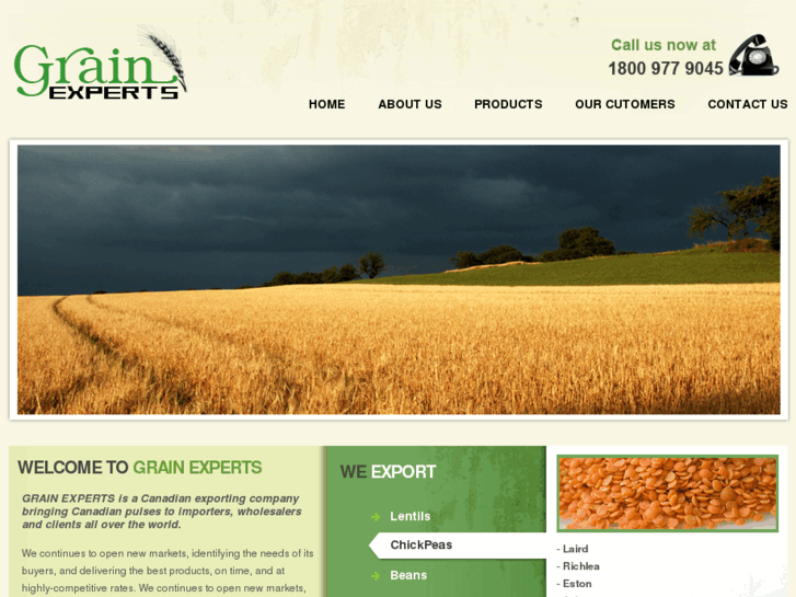 www.grainexperts.com