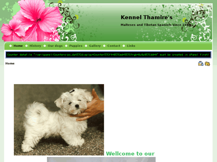 www.kennelthamires.net