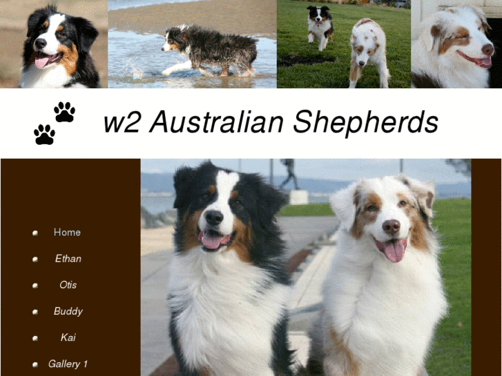 www.w2aussies.com