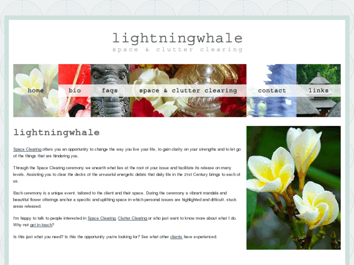 www.lightningwhale.com