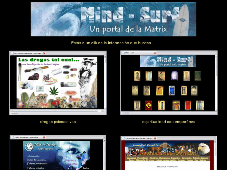 www.mind-surf.net