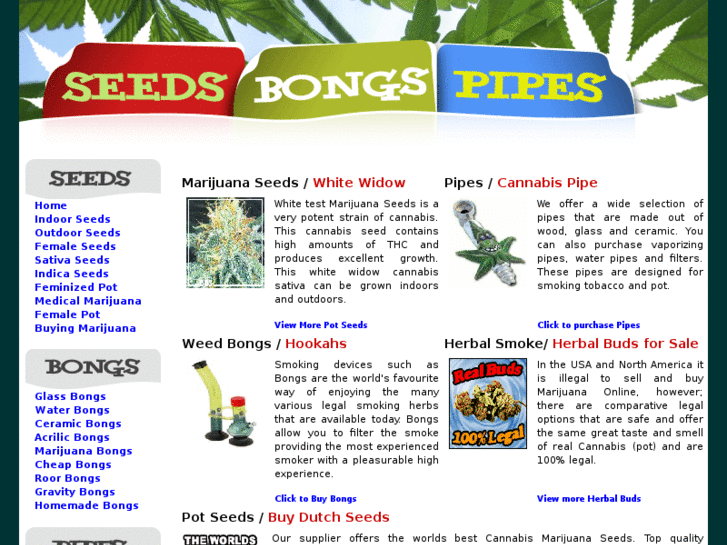 www.seedsbongspipes.com