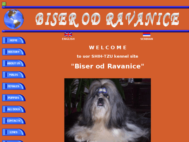 www.biser-od-ravanice.com