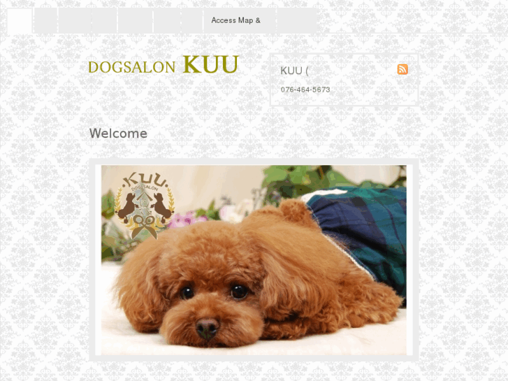 www.dogsalon-kuu.com