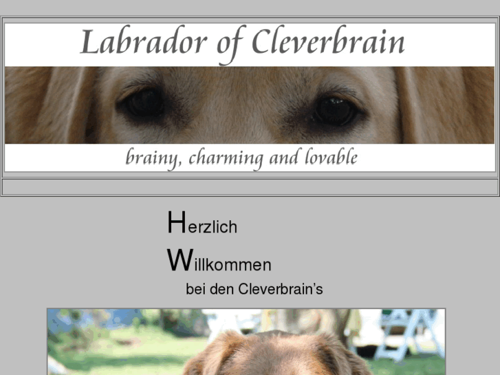 www.labrador-cleverbrain.de