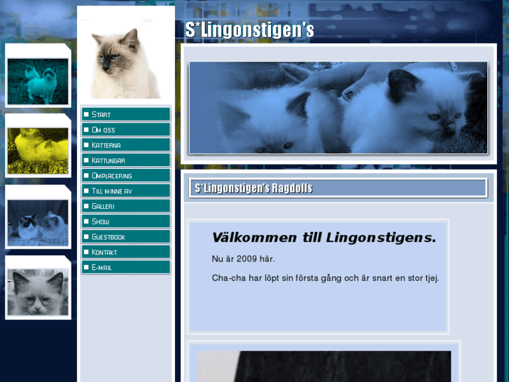 www.lingonstigens.se