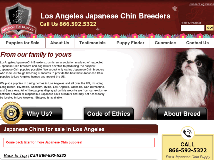 www.losangelesjapanesechinbreeders.com