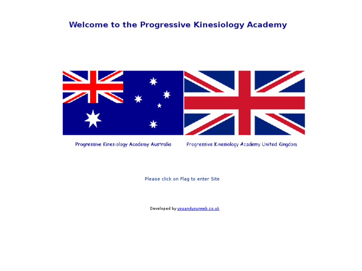 www.progressive-kinesiology.com