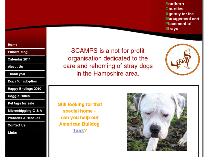 www.scamps4straydogs.org