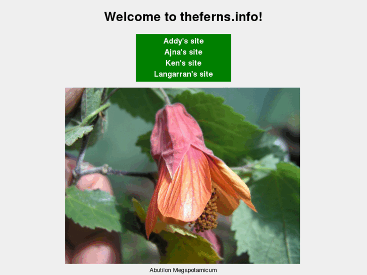 www.theferns.info