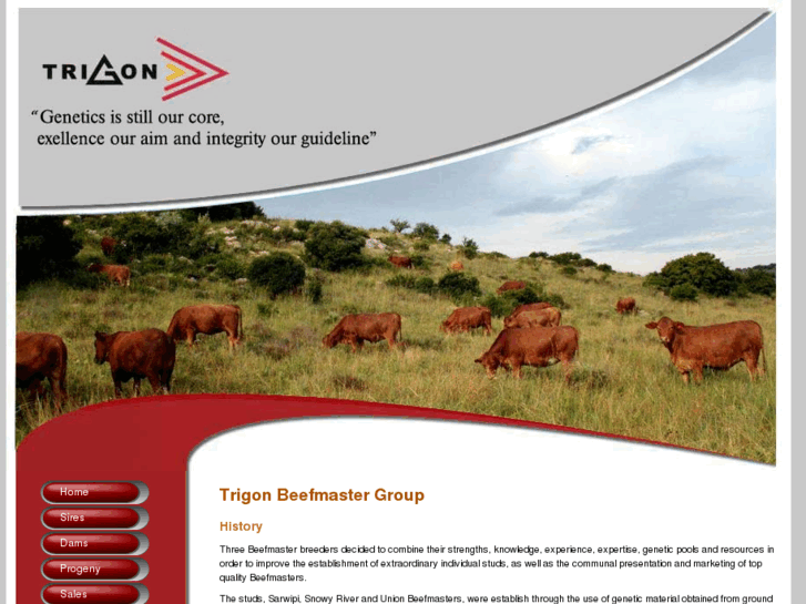 www.trigonbeefmastergroup.com