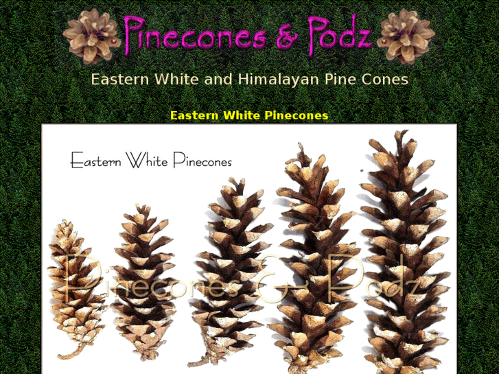 www.whitepinecones.com