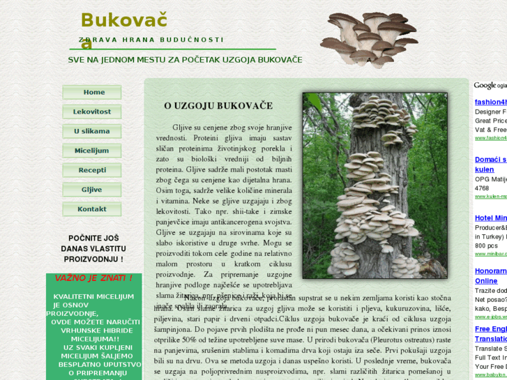 www.bukovaca.com