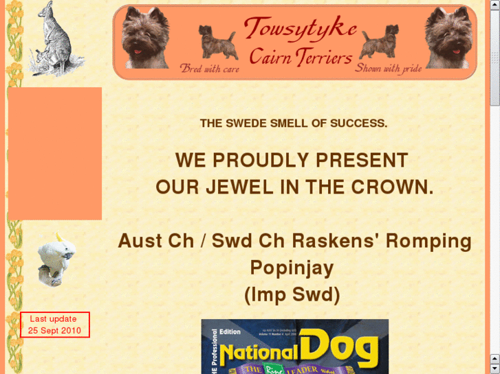 www.cairnterriersaustralia.com