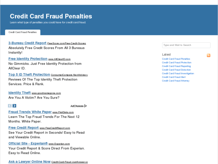 www.creditcardfraudpenalties.com