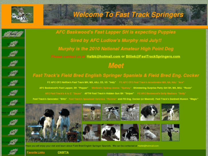 www.fasttrackspringers.com